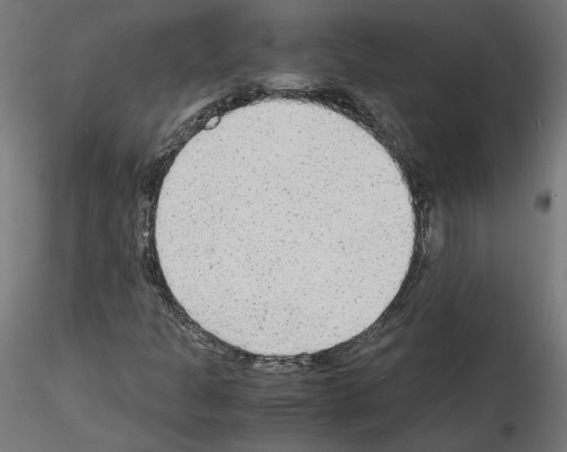 X0000115541301200912181520