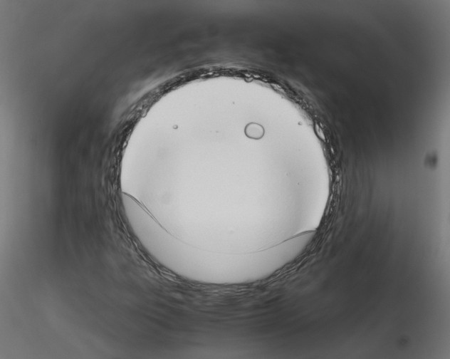 X0000115541303200912181520