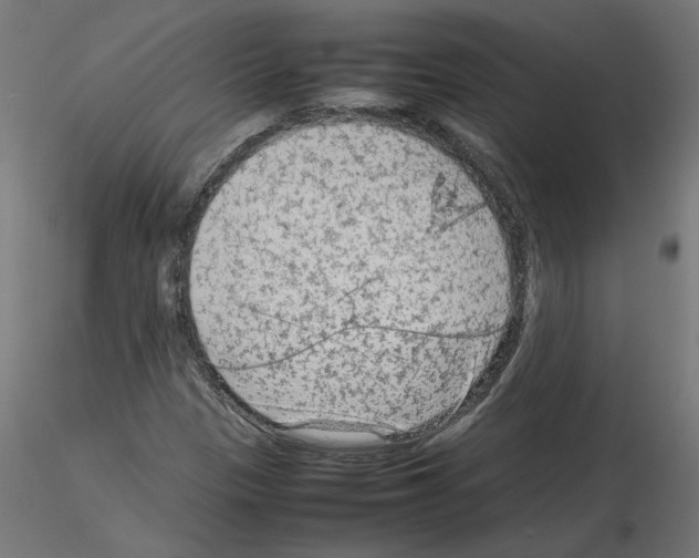 X0000115541305200912181520