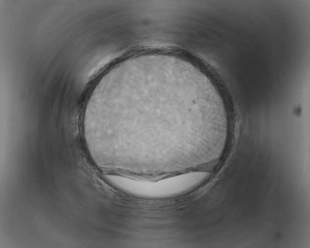 X0000115541306200912181520