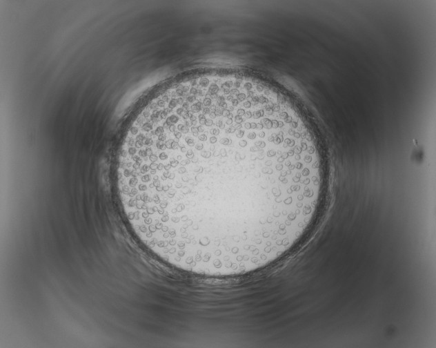 X0000115541307200912181520