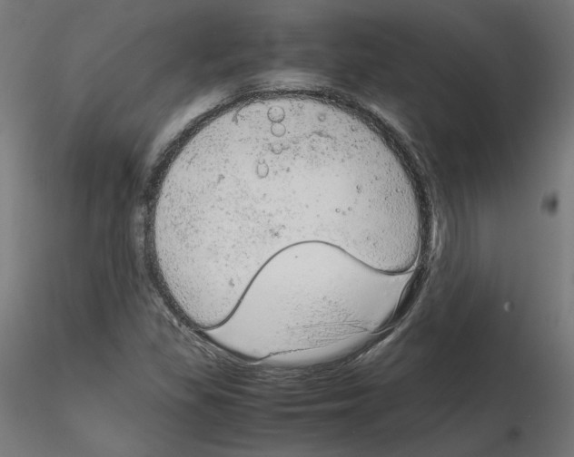 X0000115541309200912181520