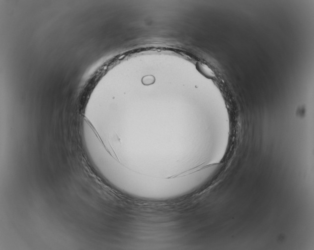 X0000115541310200912181520