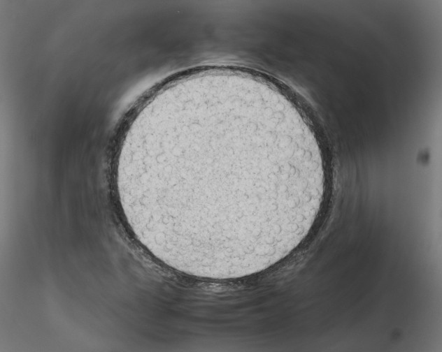 X0000115541311200912181520