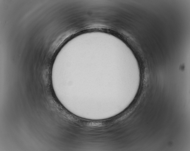 X0000115541313200912181520