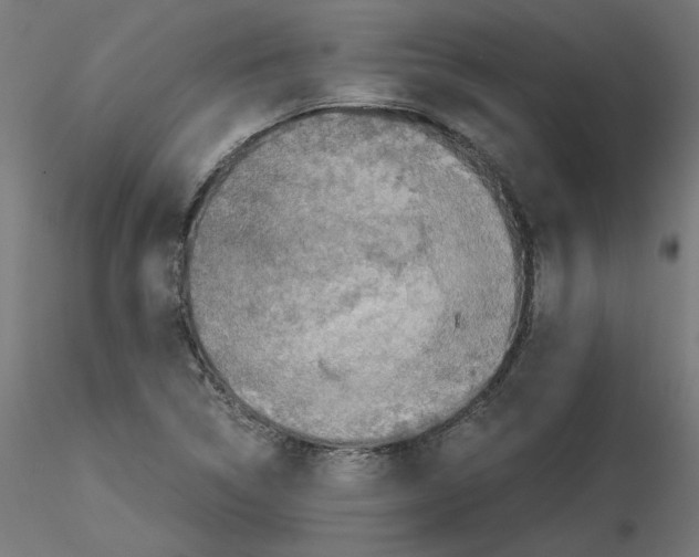 X0000115541314200912181520