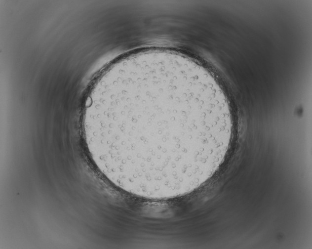 X0000115541315200912181520