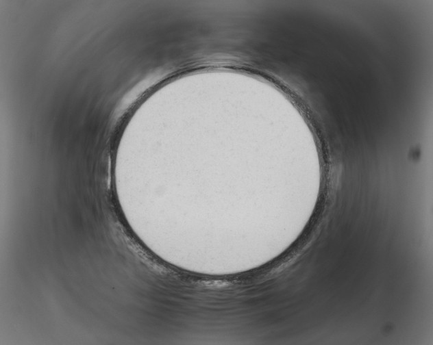 X0000115541317200912181520