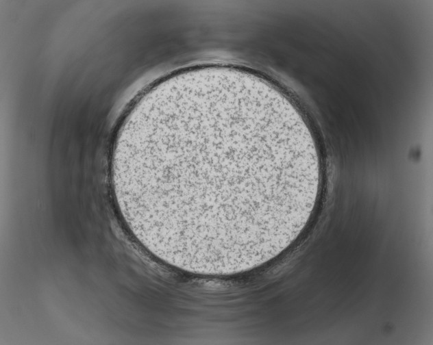 X0000115541318200912181520