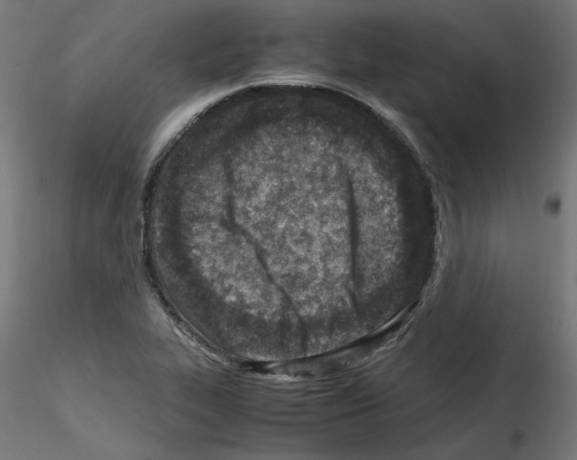 X0000115541319200912181520