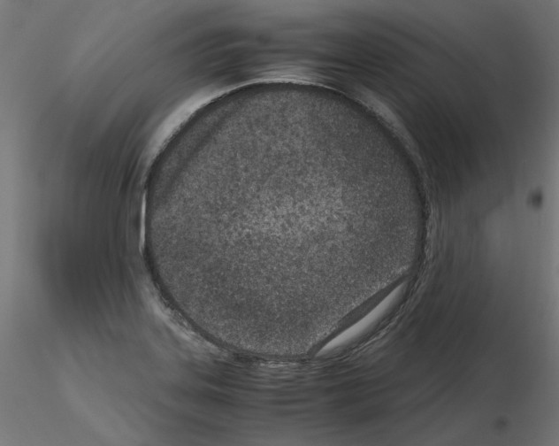 X0000115541323200912181520