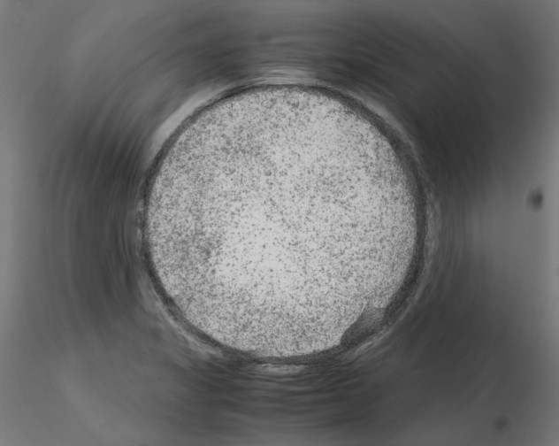 X0000115541325200912181520