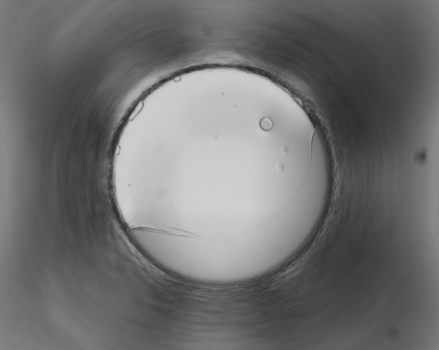 X0000115541326200912181520