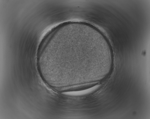 X0000115541327200912181520