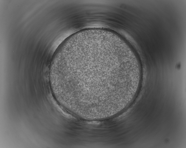 X0000115541329200912181520