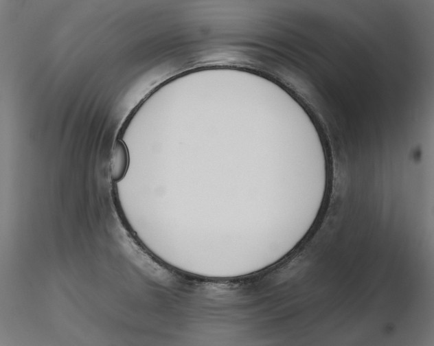 X0000115541330200912181520