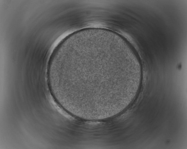 X0000115541331200912181520