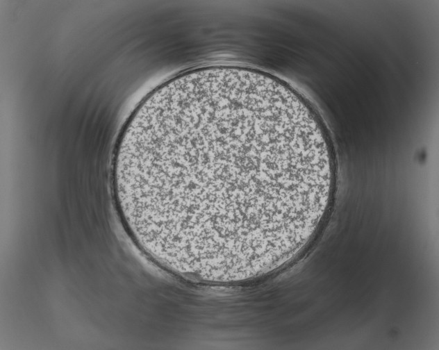 X0000115541333200912181520