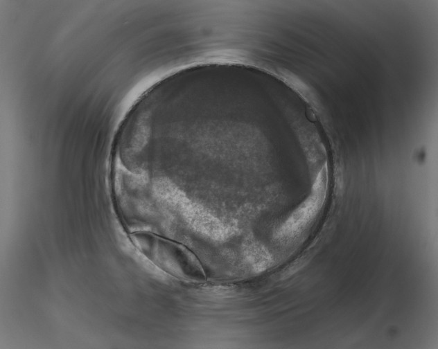 X0000115541334200912181520