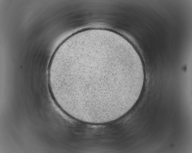 X0000115541335200912181520