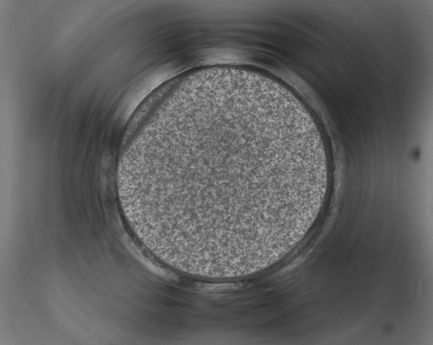 X0000115541337200912181520