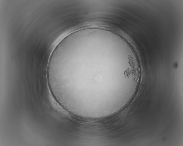 X0000115541338200912181520