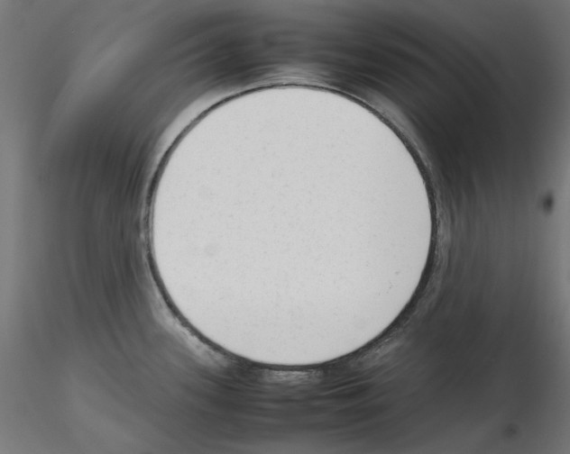 X0000115541339200912181521