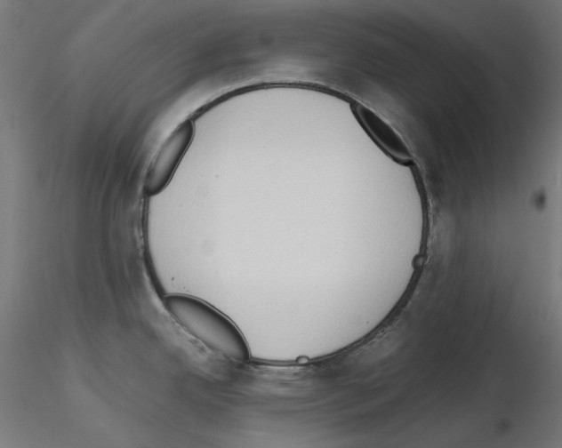 X0000115541342200912181521