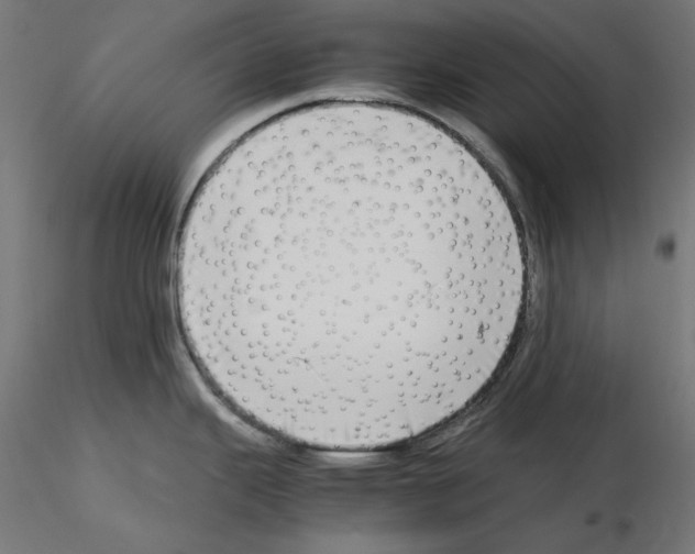 X0000115541343200912181521