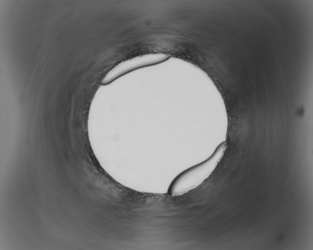 X0000115541345200912181520