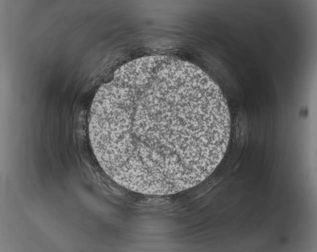 X0000115541346200912181520