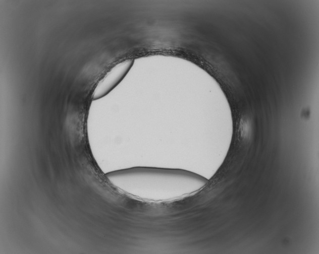 X0000115541348200912181520