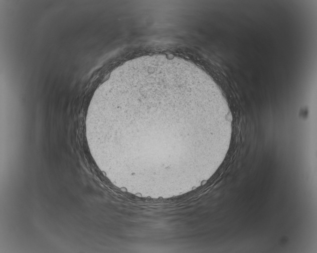 X0000115541349200912181520