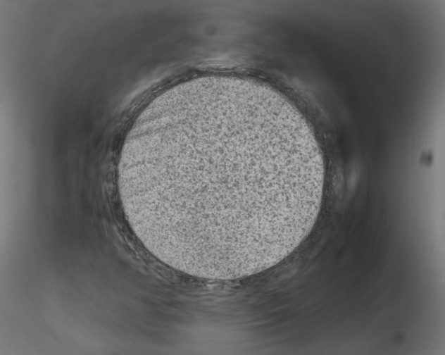 X0000115541350200912181520