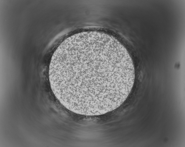 X0000115541351200912181520