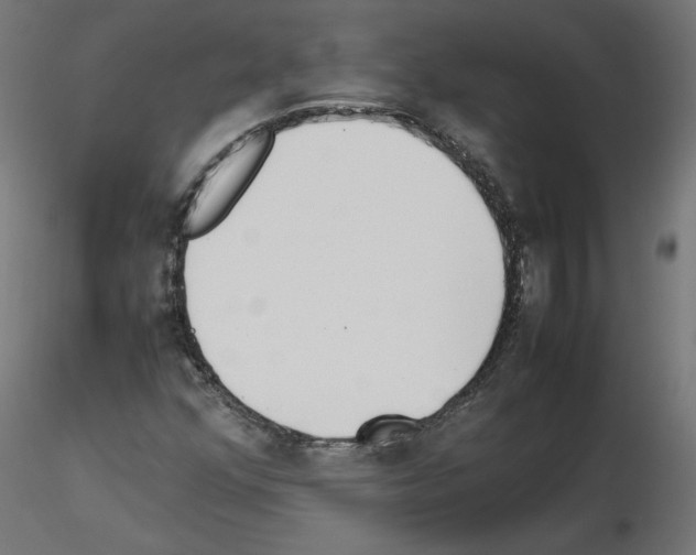 X0000115541352200912181520