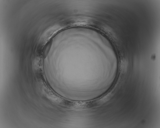 X0000115541353200912181520