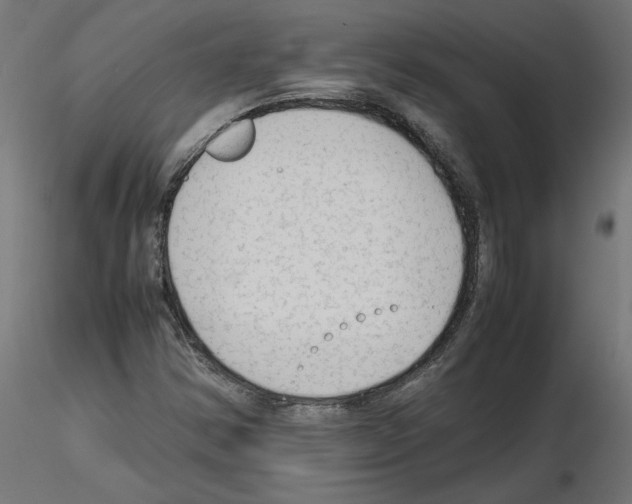 X0000115541354200912181520