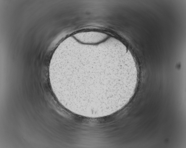 X0000115541355200912181520