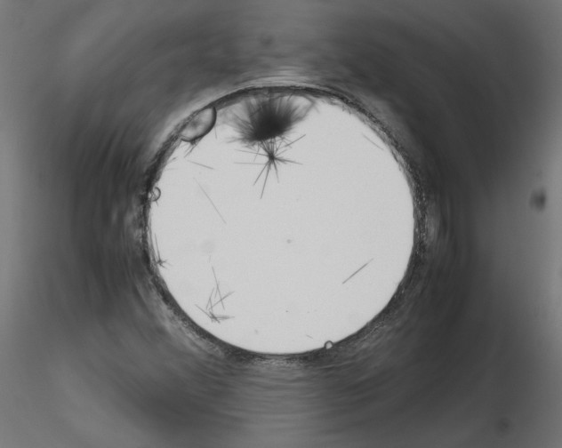 X0000115541356200912181520