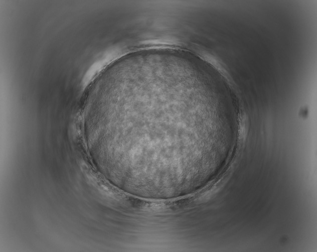 X0000115541357200912181520