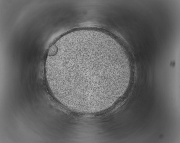 X0000115541358200912181520