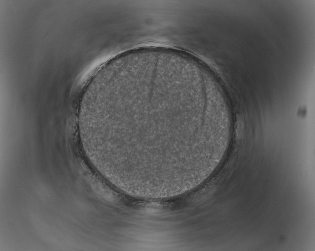 X0000115541359200912181520