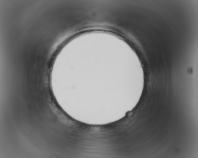 X0000115541360200912181520