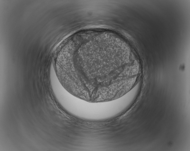 X0000115541361200912181520