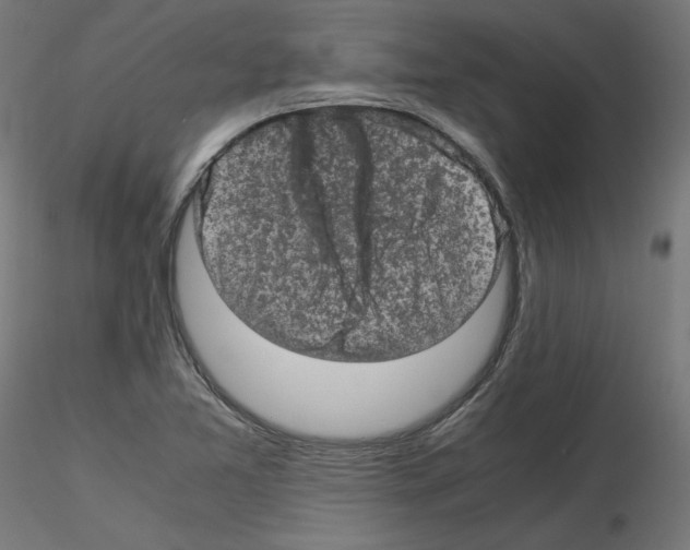 X0000115541365200912181520