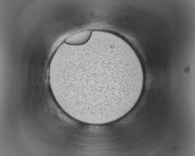 X0000115541366200912181520