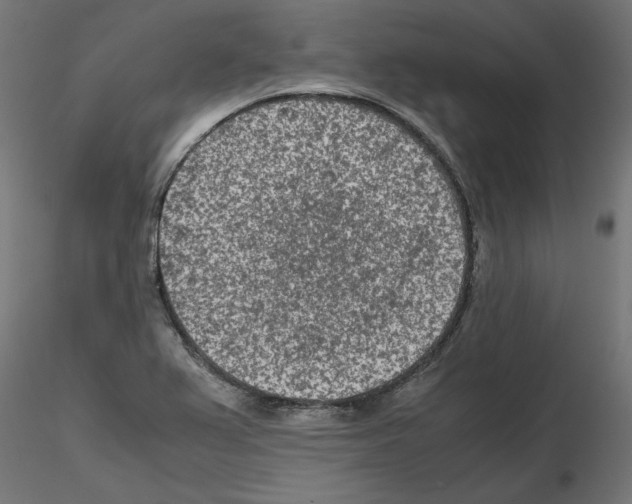 X0000115541367200912181520