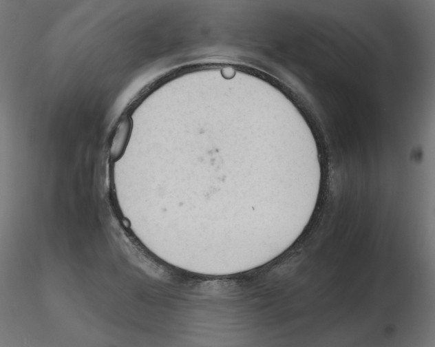 X0000115541368200912181520