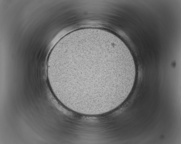 X0000115541370200912181520